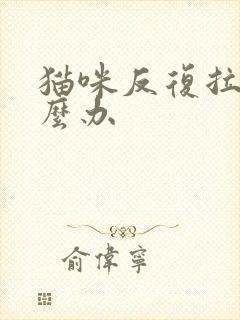 猫咪反复拉稀怎么办