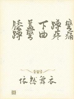 膝盖下蹲弯曲下蹲弯曲疼痛封面