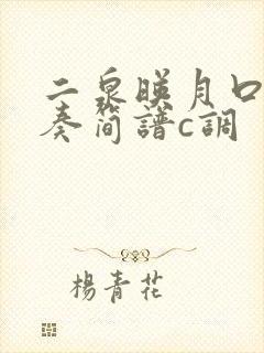 二泉映月口琴独奏简谱c调