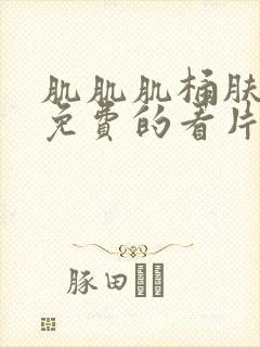 肌肌肌桶肤肤肤免费的看片