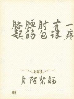 胳膊肘有一个凸起的包很疼封面