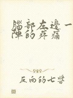 脑部左边一阵一阵的疼痛