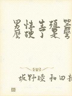 男性生殖器为什么硬了是弯的