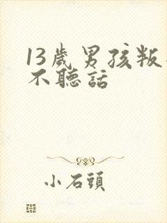 13岁男孩叛逆不听话