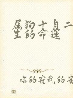 属狗十月二十出生的命运