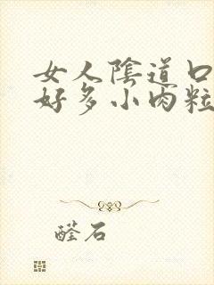 女人阴道口起了好多小肉粒怎么办