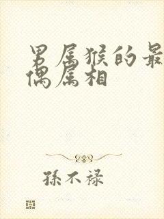 男属猴的最佳配偶属相封面