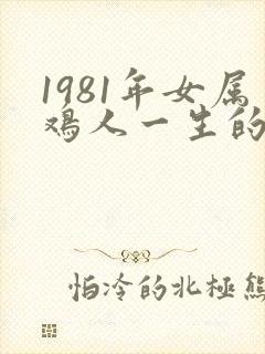 1981年女属鸡人一生的命运如何