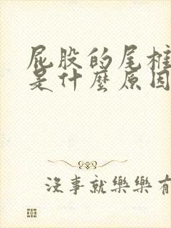 屁股的尾椎骨疼是什么原因