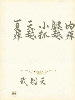 夏天小腿内侧痒痒越抓越痒有小红疙瘩