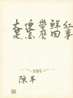 大便带鲜红的血是怎么回事