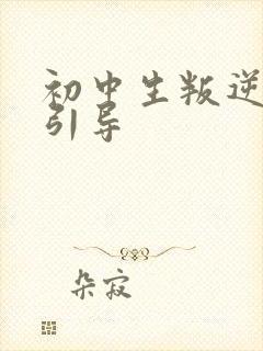 初中生叛逆怎么引导