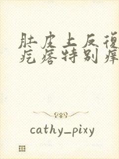 肚皮上反复起红疙瘩特别痒