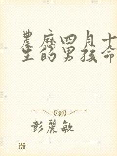 农历四月十一出生的男孩命运封面