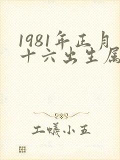 1981年正月十六出生属鸡的命运