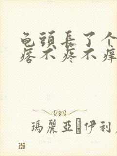 龟头长了个白疙瘩不疼不痒封面