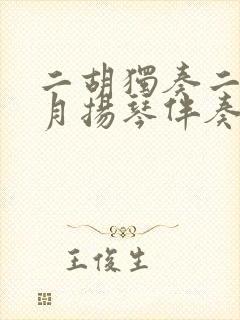 二胡独奏二泉映月扬琴伴奏