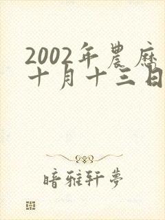 2002年农历十月十三日出生的男孩的命运