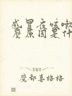 感冒夜咳嗽是什么原因是什么