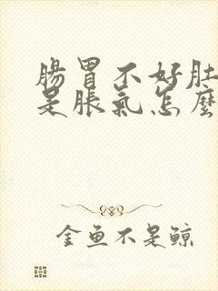 肠胃不好肚子老是胀气怎么回事封面