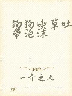 狗狗吃草吐黄水带泡沫