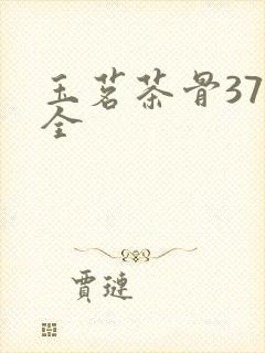 玉茗茶骨37集全封面