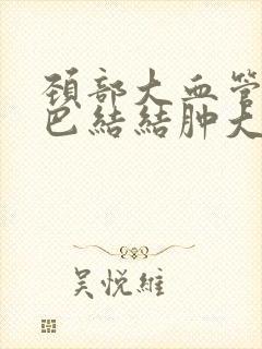 颈部大血管旁淋巴结结肿大