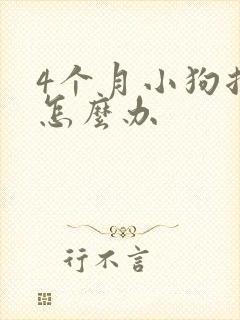 4个月小狗拉稀怎么办