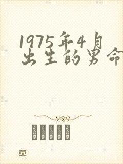 1975年4月出生的男命运