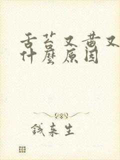 舌苔又黄又厚是什么原因