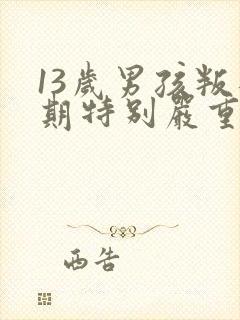 13岁男孩叛逆期特别严重怎么办