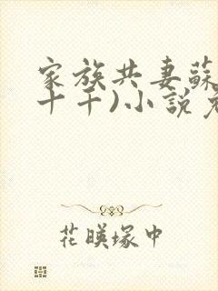 家族共妻苏苏(十千)小说免费