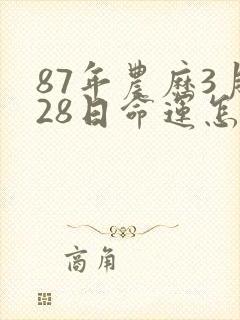 87年农历3月28日命运怎样