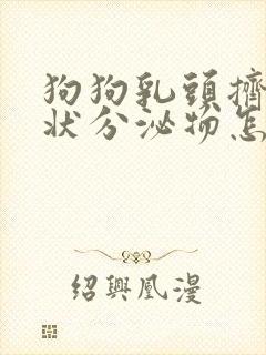 狗狗乳头挤出水状分泌物怎么回事