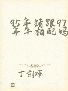 95年猪跟97年牛相配吗