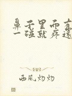 鼻子里面有痘痘一碰就疼还硬封面