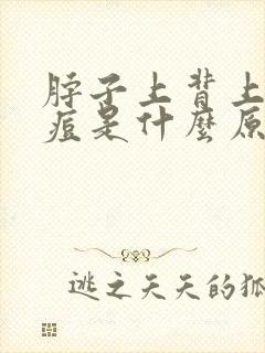 脖子上背上长痘痘是什么原因