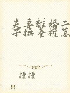 夫妻离婚二个孩子抚养权怎么判定封面