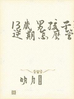 13岁男孩子叛逆期怎么管教最合适