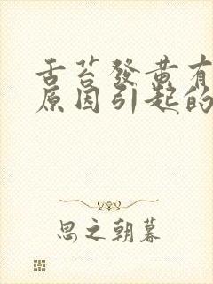 舌苔发黄有哪些原因引起的