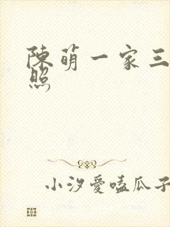 陈萌一家三口近照