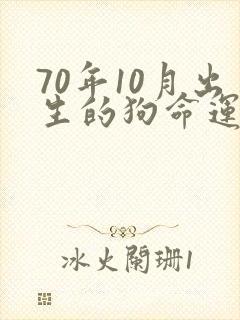 70年10月出生的狗命运