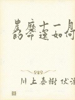 农历十一月属兔的命运如何