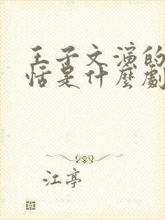 王子文演的孟好恬是什么剧