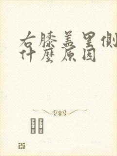 右膝盖里侧疼是什么原因