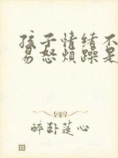 孩子情绪不稳定易怒烦躁是什么症状