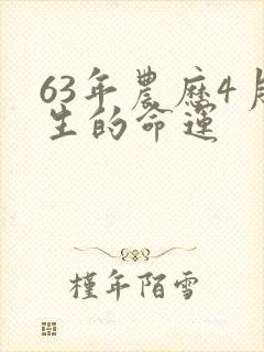 63年农历4月生的命运