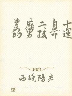 农历二月十九生的男孩命运如何