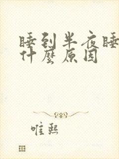 睡到半夜睡不着什么原因