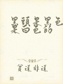 黑头是黑色的还是白色的